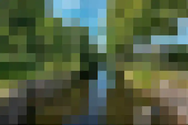 Semsstraat 17 Eexterveenschekanaal thumbnail 5