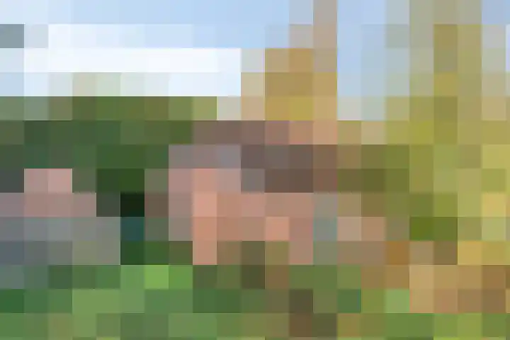 Semsstraat 18 Eexterveenschekanaal thumbnail 33