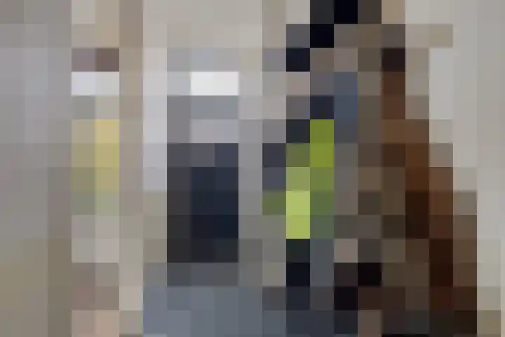 Semsstraat 18 Eexterveenschekanaal thumbnail 6