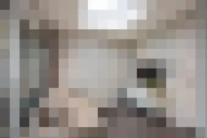 Seneca 10 Wijk bij Duurstede thumbnail 11