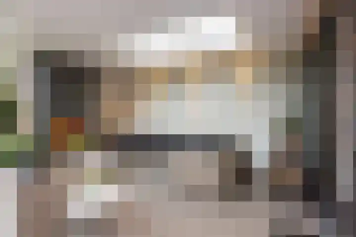 Seneca 10 Wijk bij Duurstede thumbnail 12