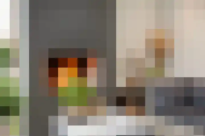 Seneca 10 Wijk bij Duurstede thumbnail 13
