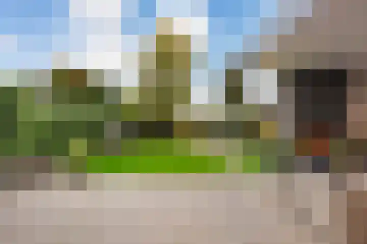 Seneca 10 Wijk bij Duurstede thumbnail 14