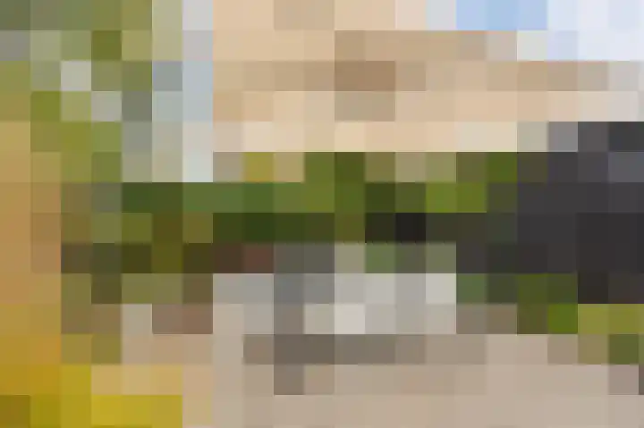 Seneca 10 Wijk bij Duurstede thumbnail 15