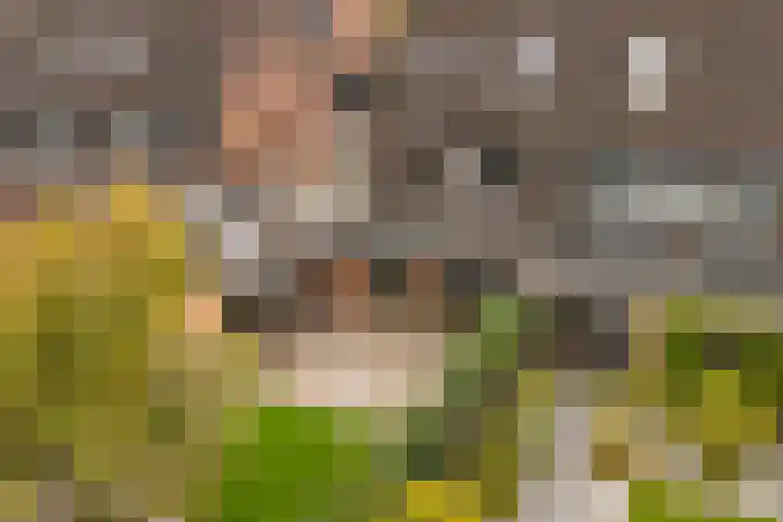 Seneca 10 Wijk bij Duurstede thumbnail 17