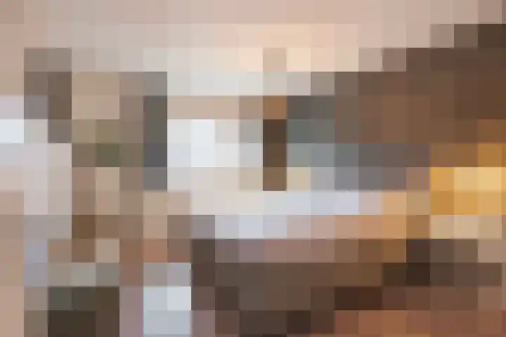 Seneca 10 Wijk bij Duurstede thumbnail 20