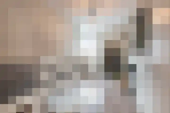 Seneca 10 Wijk bij Duurstede thumbnail 22