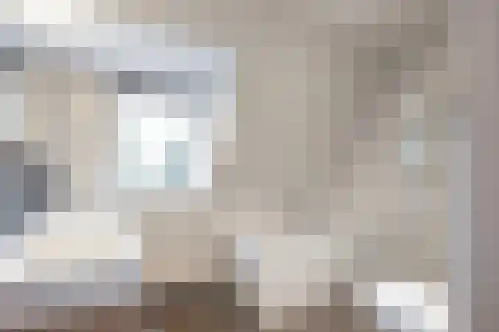 Seneca 10 Wijk bij Duurstede thumbnail 24