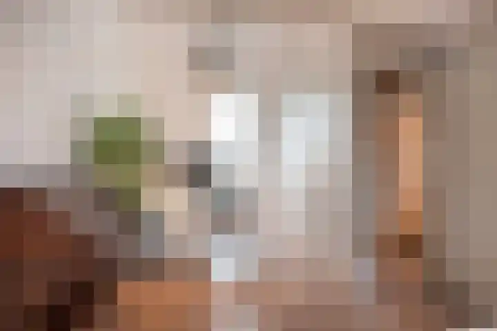 Seneca 10 Wijk bij Duurstede thumbnail 28