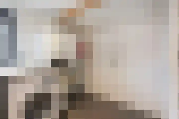 Seneca 10 Wijk bij Duurstede thumbnail 29