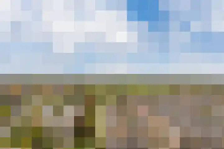 Seneca 10 Wijk bij Duurstede thumbnail 36