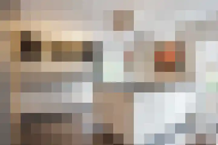 Seneca 10 Wijk bij Duurstede thumbnail 4