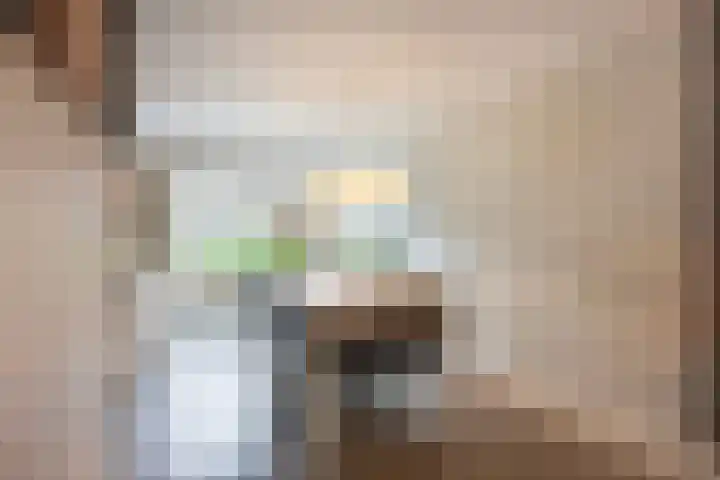 Seneca 10 Wijk bij Duurstede thumbnail 6