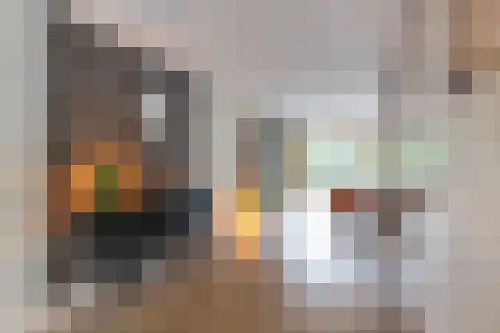 Seneca 10 Wijk bij Duurstede thumbnail 7
