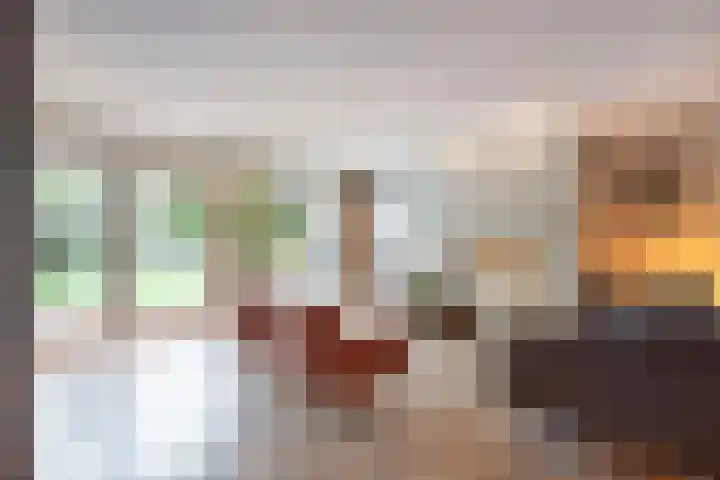 Seneca 10 Wijk bij Duurstede thumbnail 8