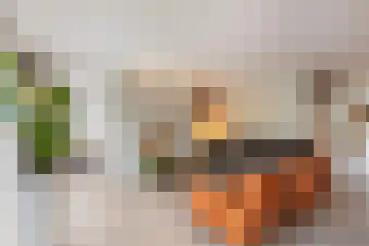 Seneca 10 Wijk bij Duurstede thumbnail 9