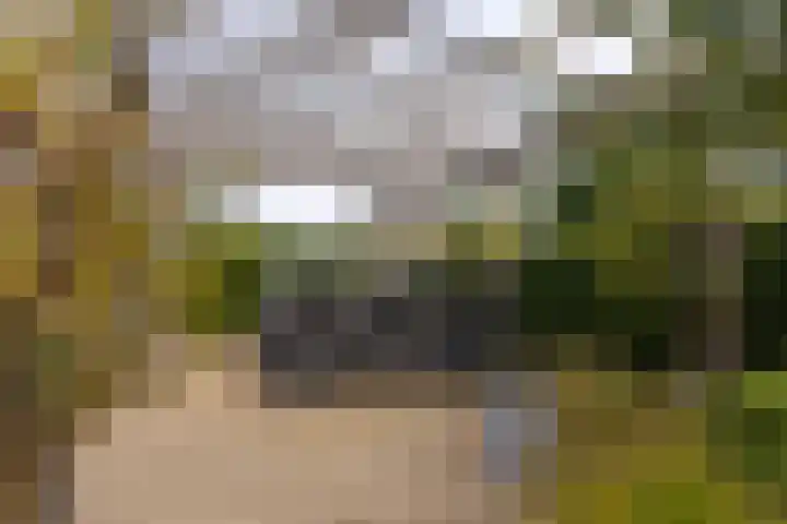 Senecalaan 12 Almere thumbnail 31