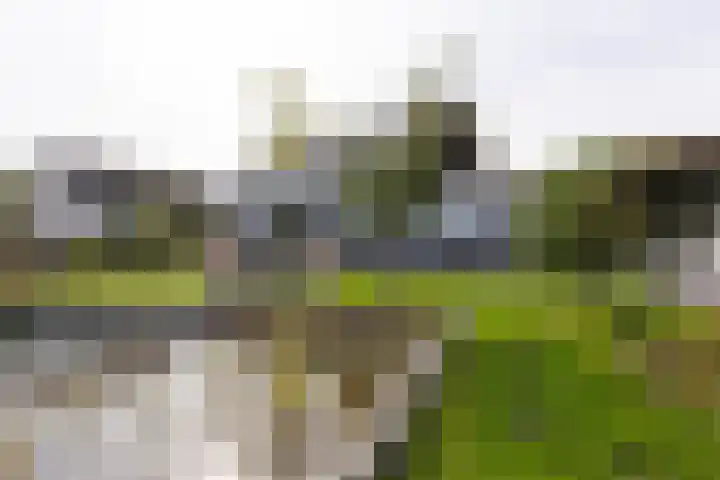 Senecalaan 12 Almere thumbnail 35