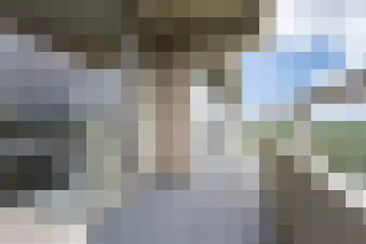 Senecalaan 127 's-Hertogenbosch thumbnail 16