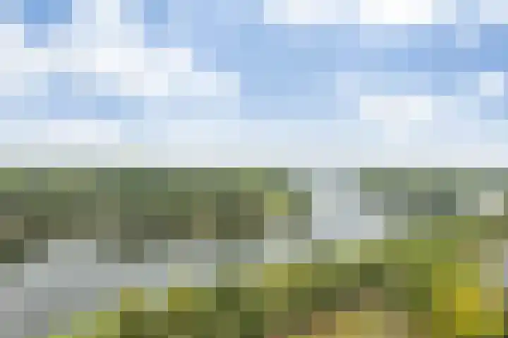 Senecalaan 127 's-Hertogenbosch thumbnail 18