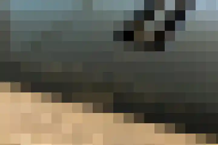 Senecalaan 127 's-Hertogenbosch thumbnail 22