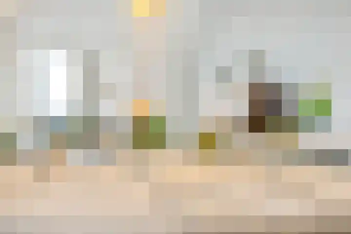 Senecalaan 127 's-Hertogenbosch thumbnail 38