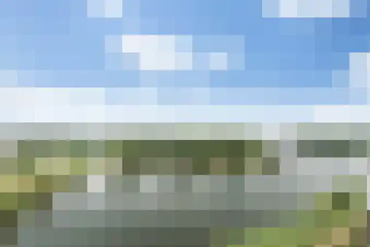 Senecalaan 127 's-Hertogenbosch thumbnail 43