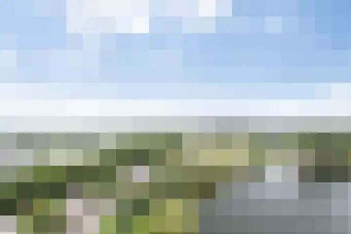 Senecalaan 127 's-Hertogenbosch thumbnail 45