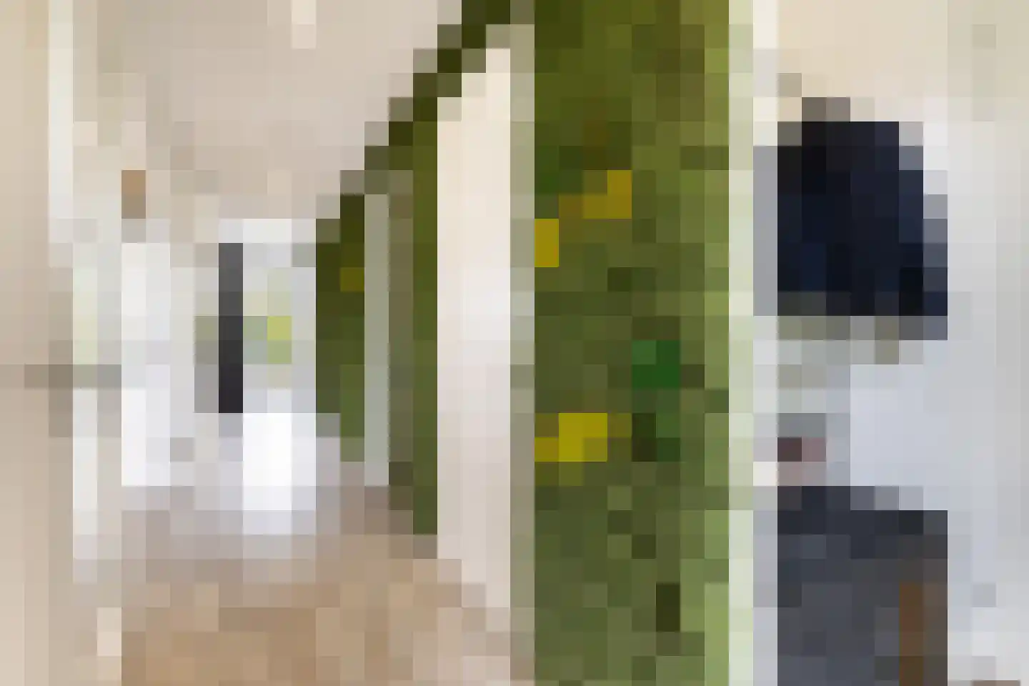Senecalaan 13 Almere thumbnail 18