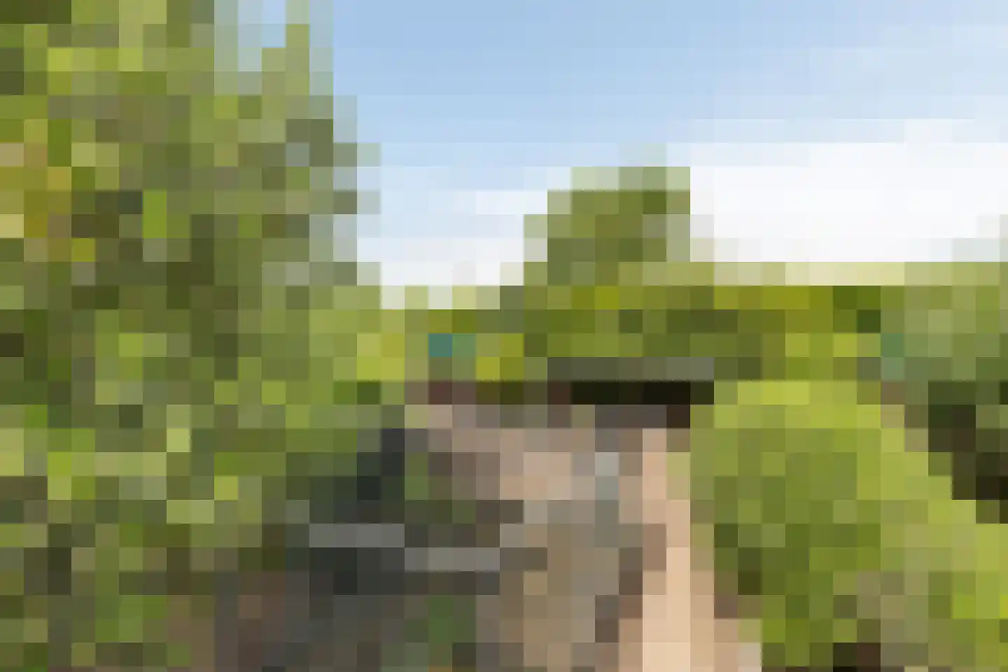Senecalaan 13 Almere thumbnail 32