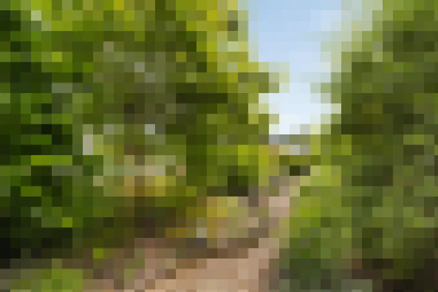 Senecalaan 13 Almere thumbnail 35