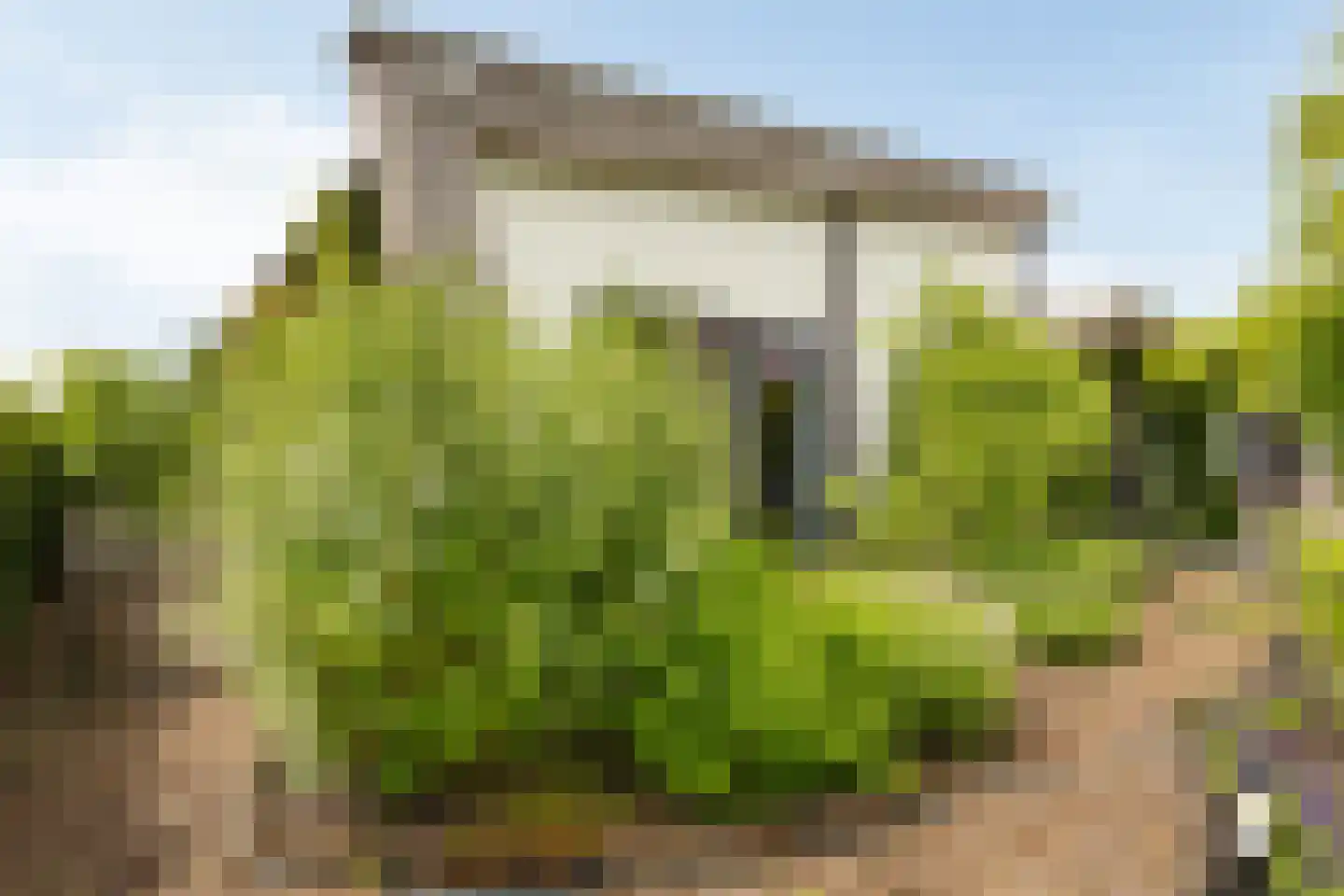 Senecalaan 13 Almere thumbnail 36
