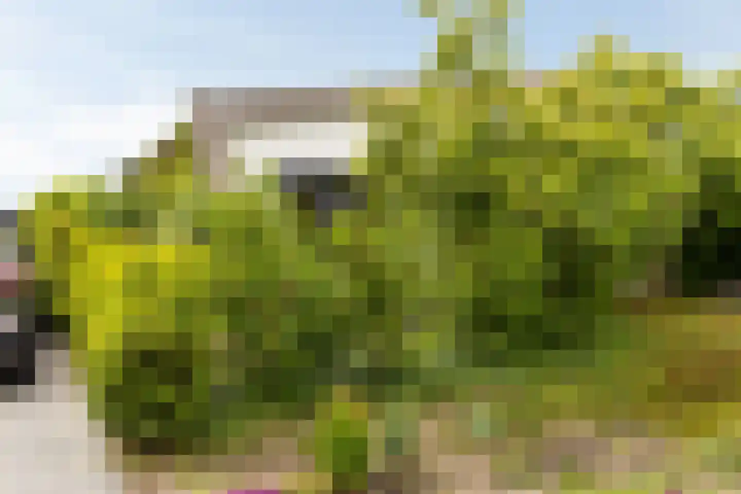 Senecalaan 13 Almere thumbnail 43