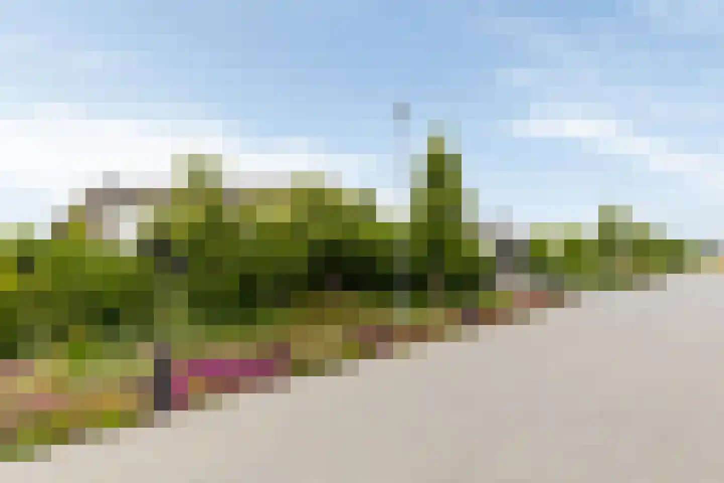 Senecalaan 13 Almere thumbnail 44