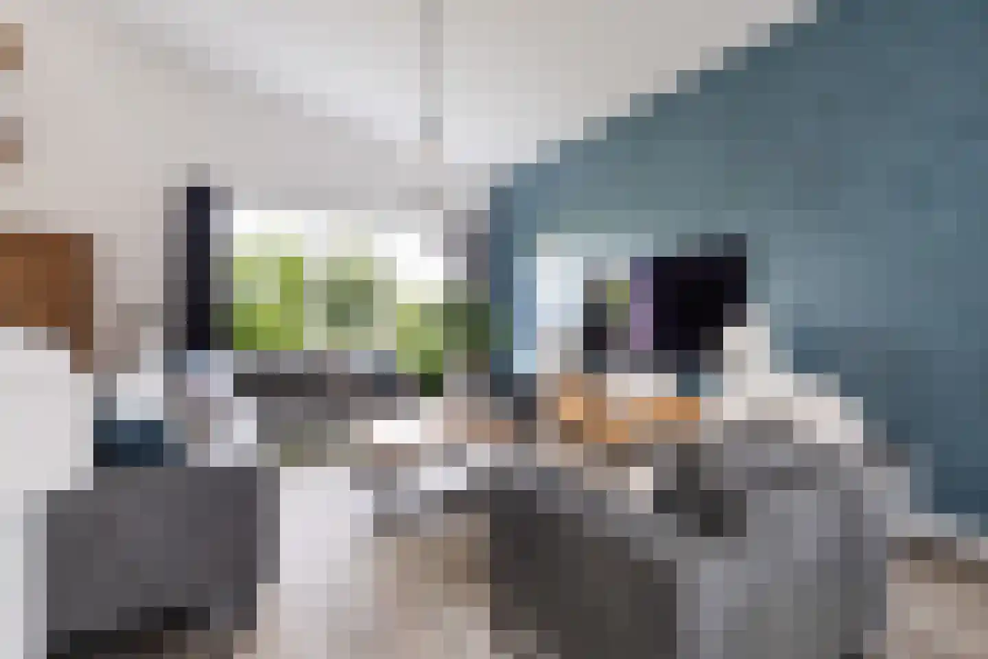 Senecalaan 13 Almere thumbnail 5