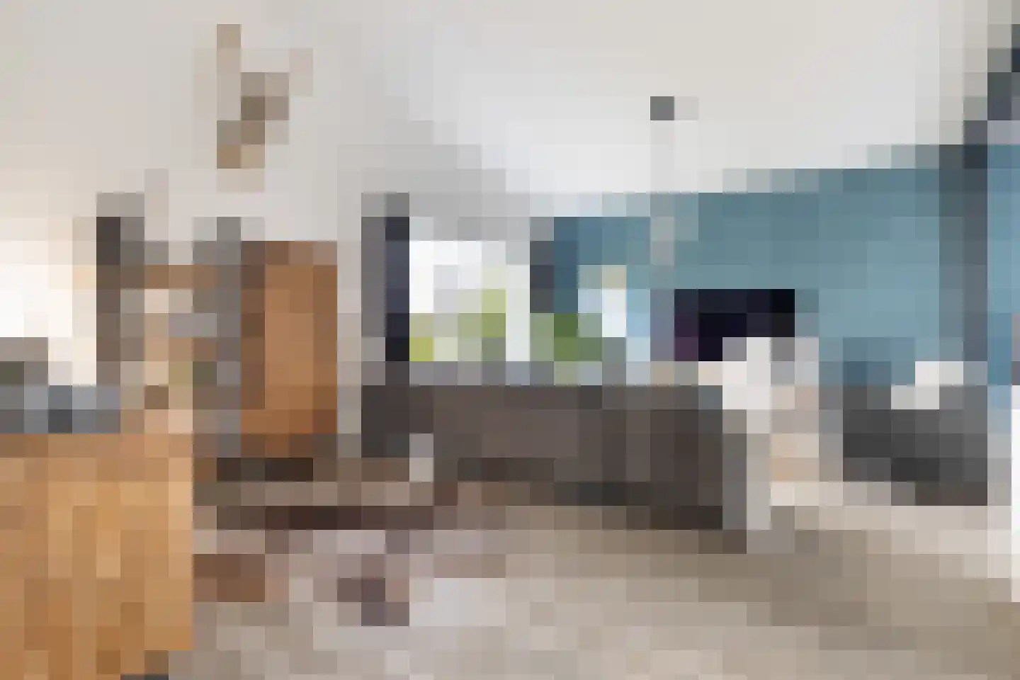 Senecalaan 13 Almere thumbnail 6