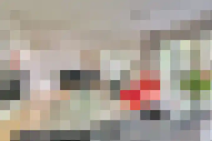 Senecalaan 14 Venlo thumbnail 10