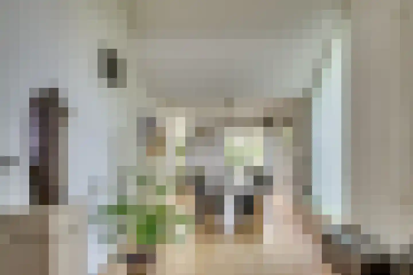 Senecalaan 14 Venlo thumbnail 16