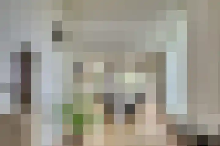 Senecalaan 14 Venlo thumbnail 16
