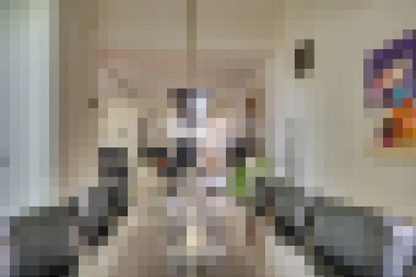 Senecalaan 14 Venlo thumbnail 18