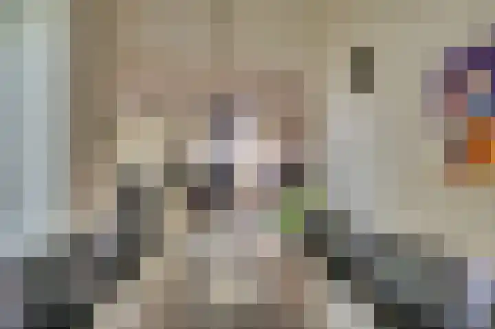 Senecalaan 14 Venlo thumbnail 18