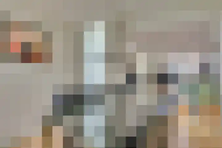 Senecalaan 14 Venlo thumbnail 19