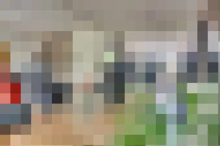 Senecalaan 14 Venlo thumbnail 20