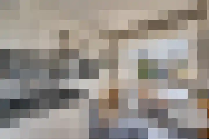 Senecalaan 14 Venlo thumbnail 21