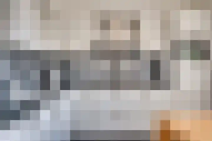 Senecalaan 14 Venlo thumbnail 23