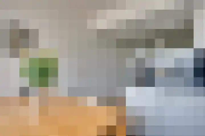 Senecalaan 14 Venlo thumbnail 24
