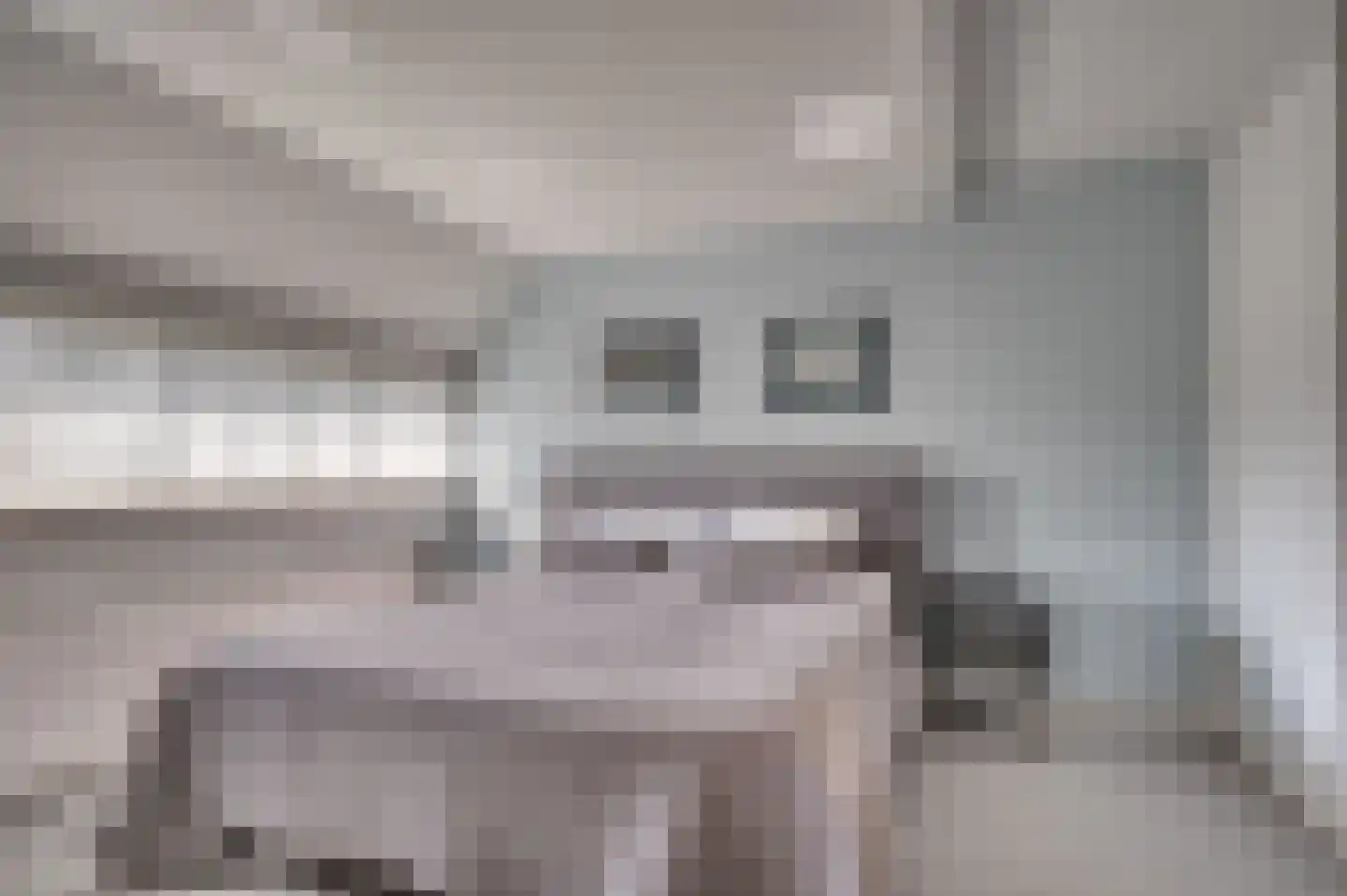 Senecalaan 14 Venlo thumbnail 27