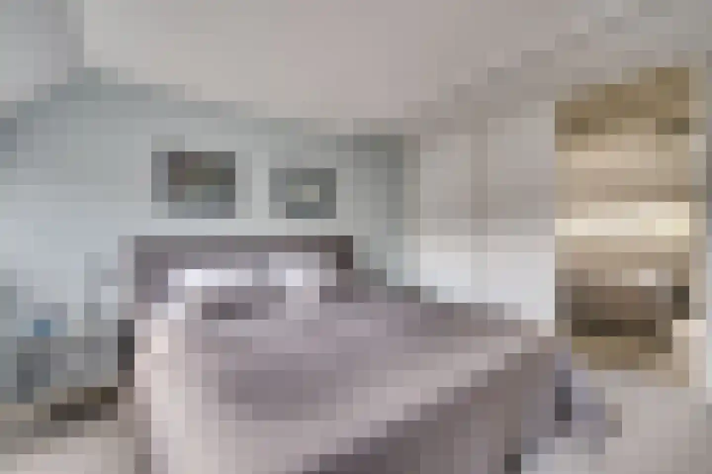 Senecalaan 14 Venlo thumbnail 29