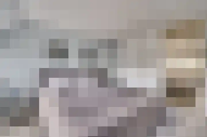 Senecalaan 14 Venlo thumbnail 29