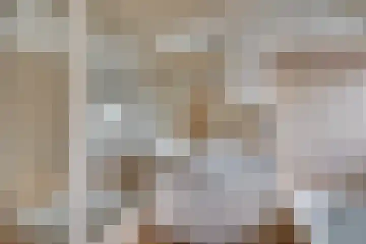 Senecalaan 14 Venlo thumbnail 31